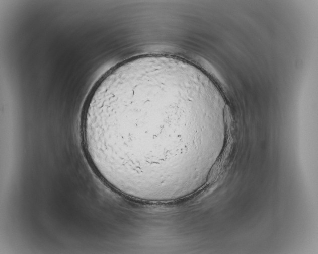 X0000111471087200908031355