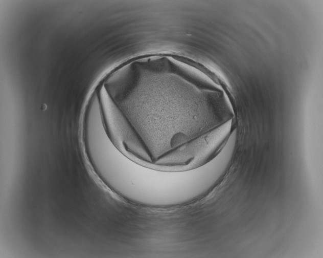 X0000111471088200908031355