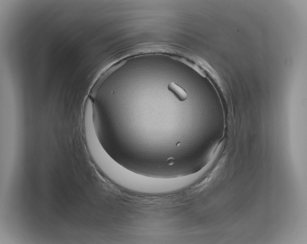 X0000111471089200908031355