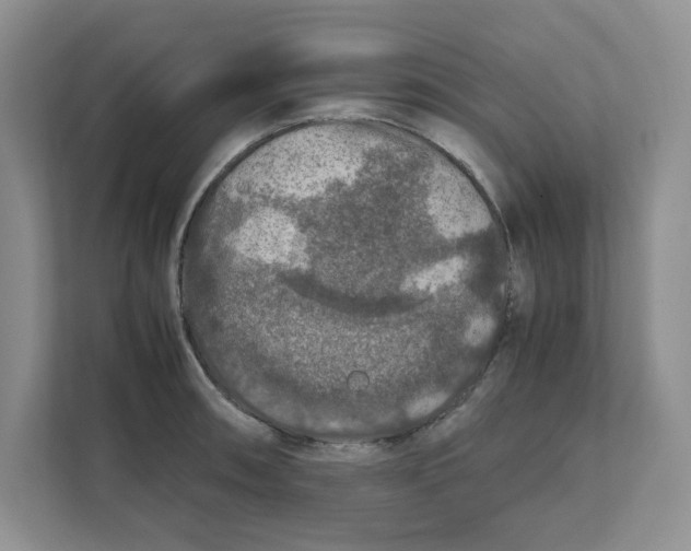 X0000111471090200908031355