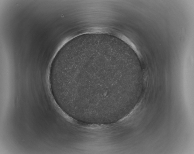 X0000111471091200908031355