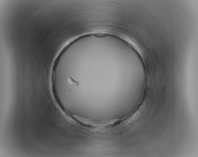 X0000111471093200908031355