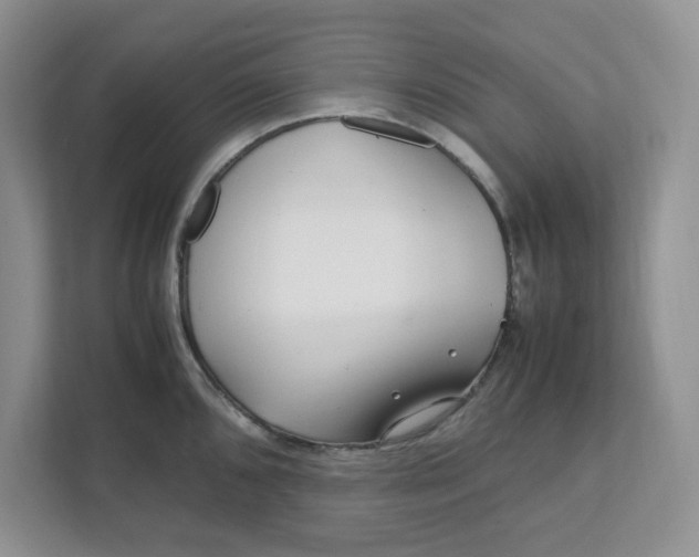 X0000111471096200908031355