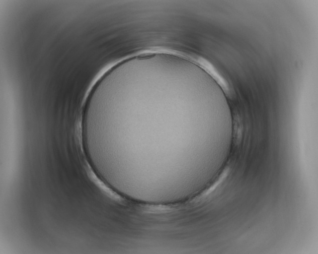 X0000111471100200908031355