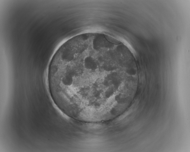 X0000111471103200908031355