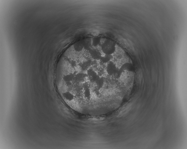 X0000111471105200908031354