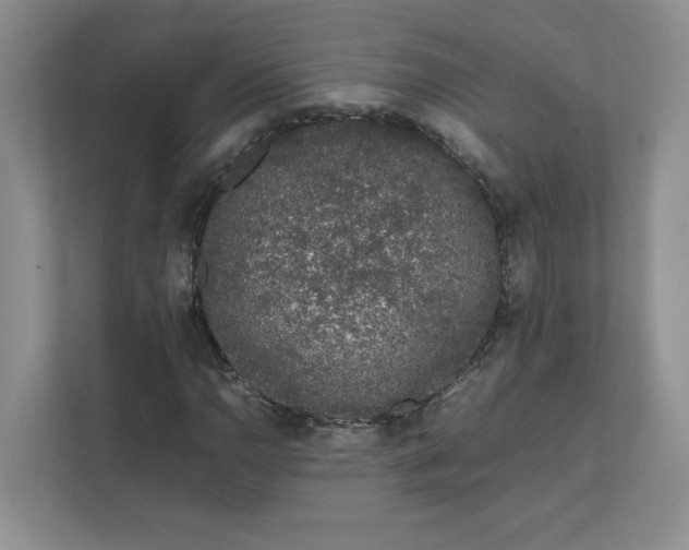 X0000111471110200908031354