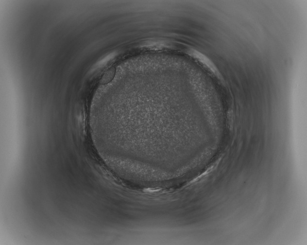 X0000111471111200908031354