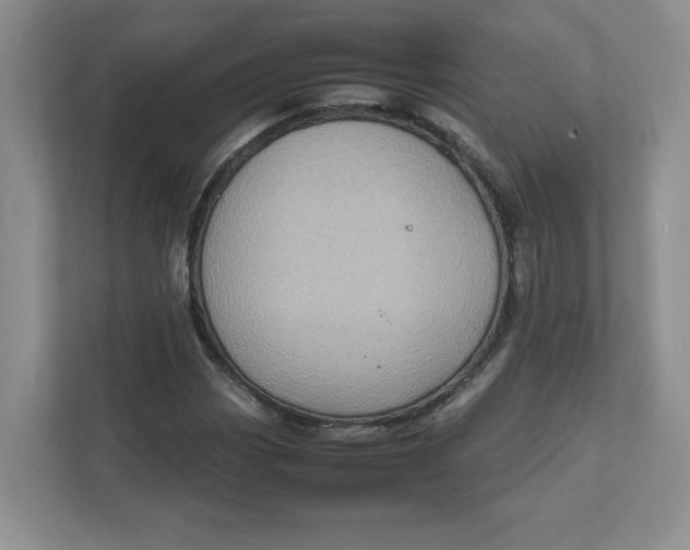 X0000111471113200908031354