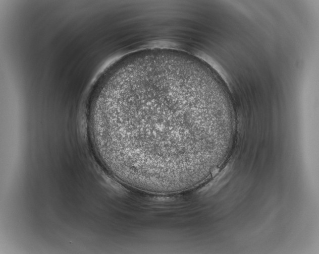 X0000111471115200908031354