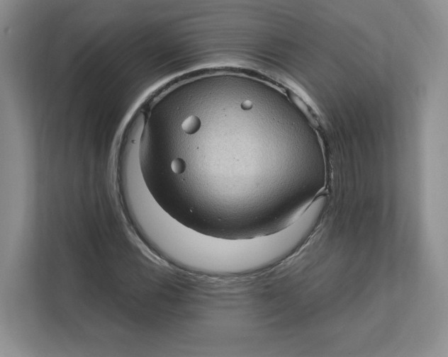 X0000111471116200908031354