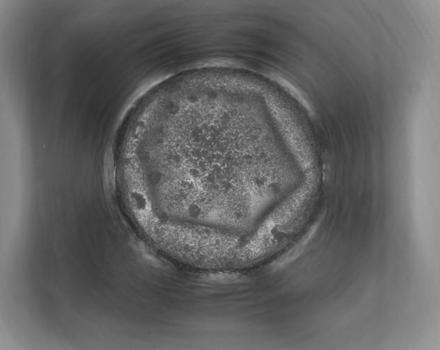 X0000111471117200908031354