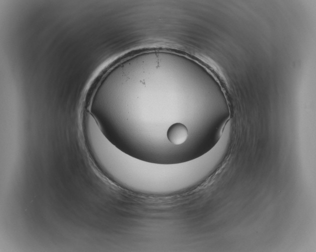 X0000111471120200908031354