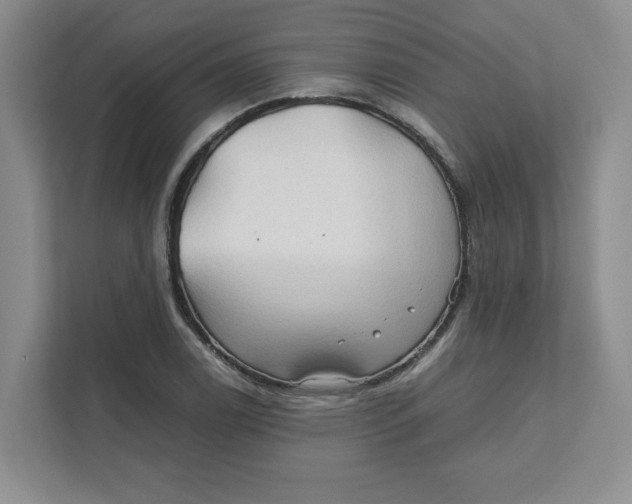 X0000111471122200908031354