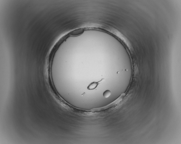 X0000111471124200908031354