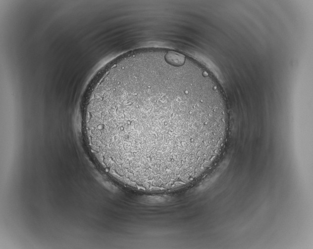 X0000111471125200908031354