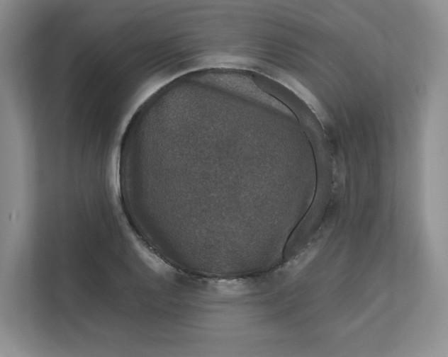 X0000111471128200908031354