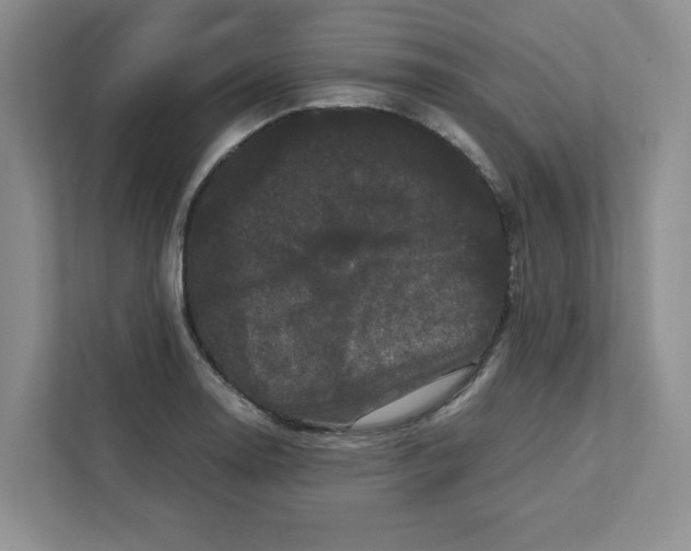 X0000111471130200908031354