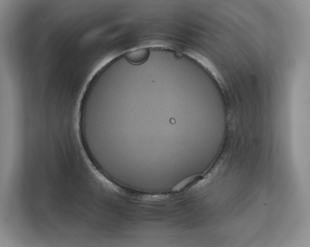 X0000111471135200908031354