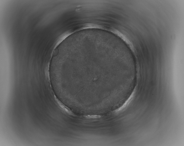 X0000111471137200908031354