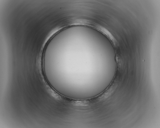 X0000111471138200908031354