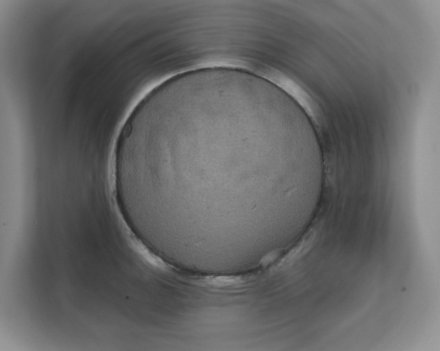 X0000111471140200908031354