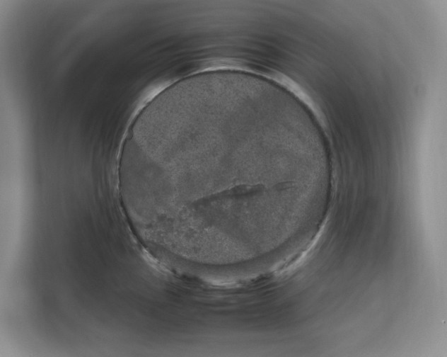 X0000111471145200908031354