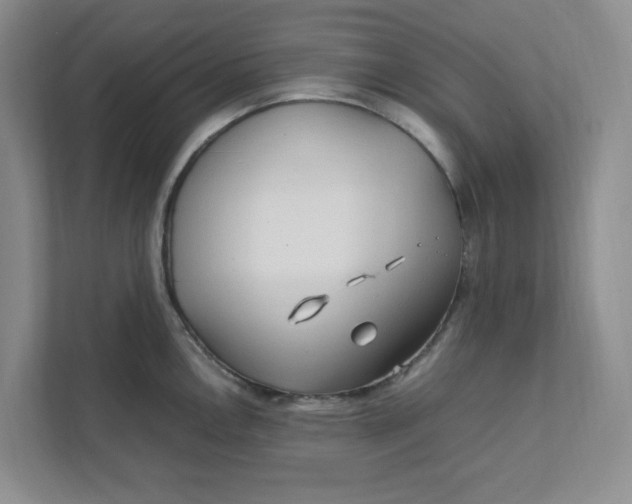 X0000111471146200908031354