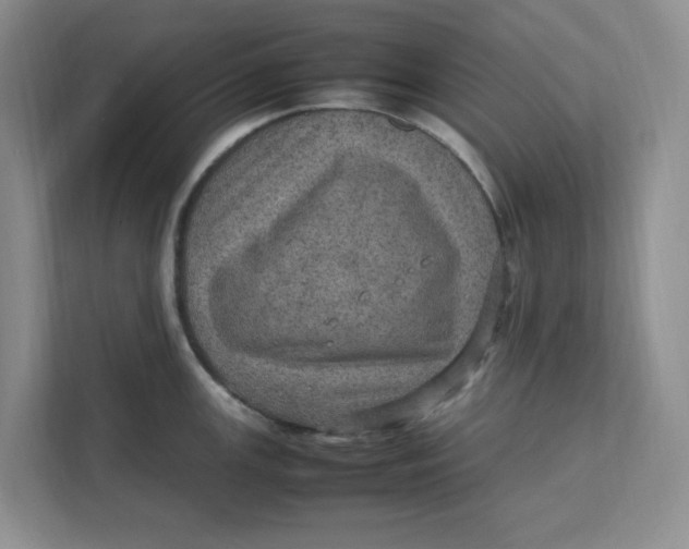 X0000111471147200908031355