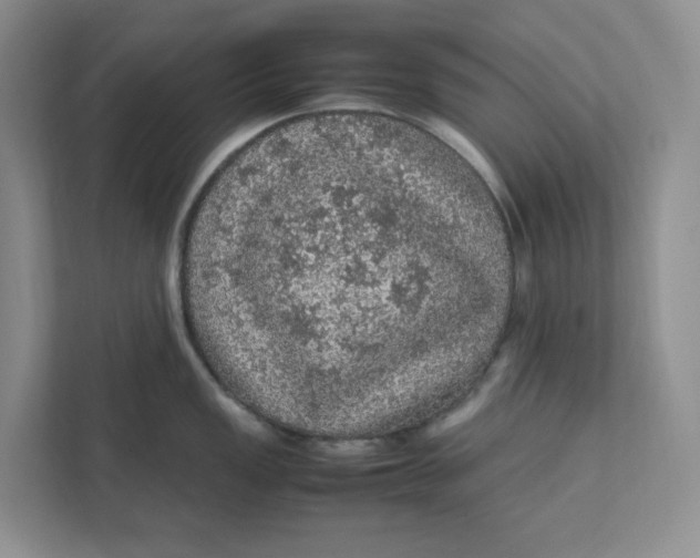 X0000111471149200908031355