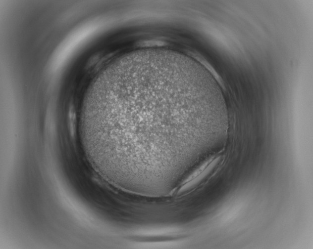 X0000111471151200908031355