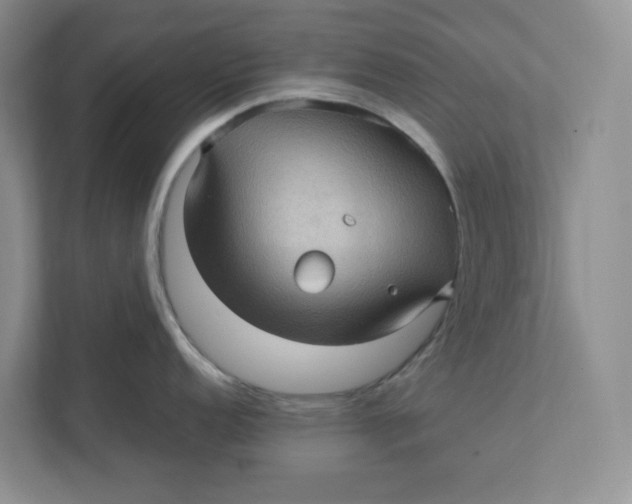 X0000111471152200908031355