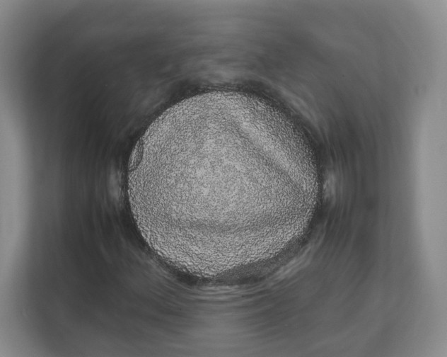 X0000111471156200908031354