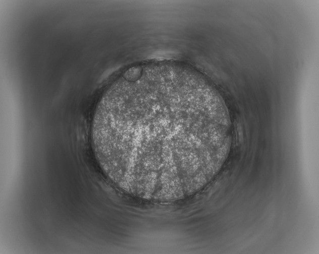 X0000111471158200908031354