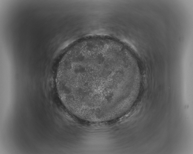 X0000111471159200908031354