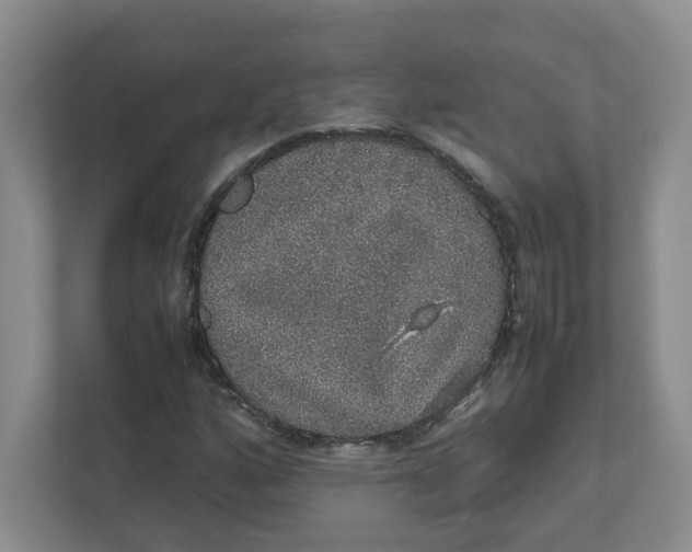 X0000111471160200908031354