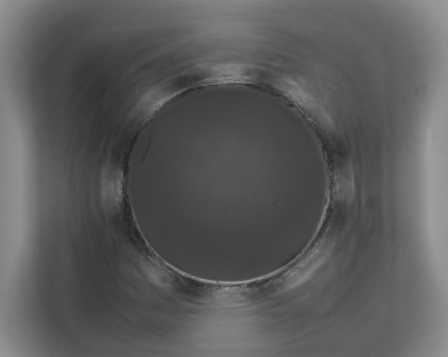 X0000111471161200908031354