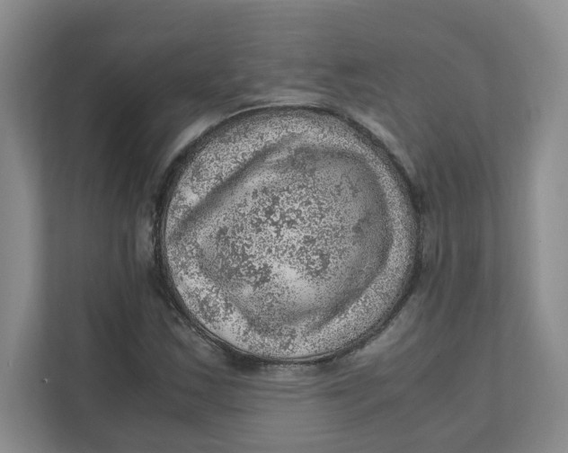 X0000111471163200908031354