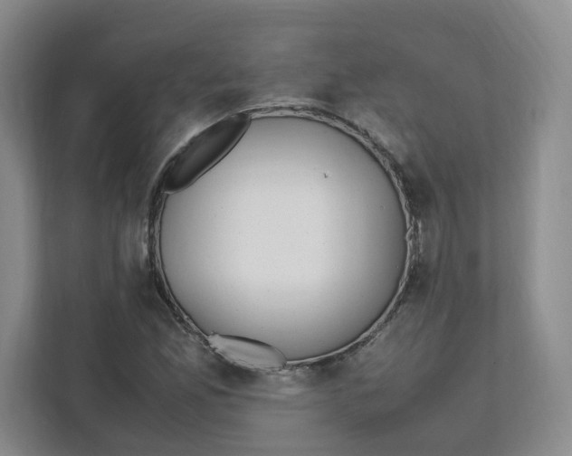 X0000111471165200908031354