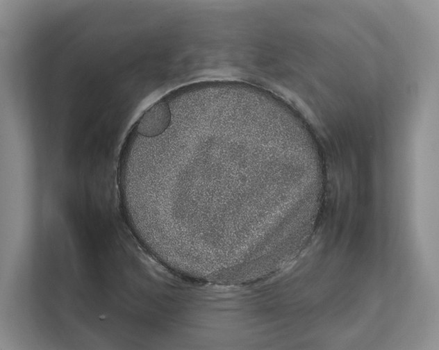 X0000111471168200908031354