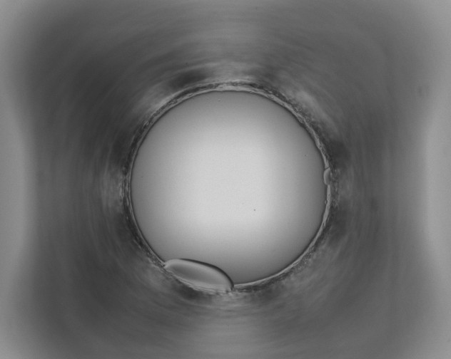 X0000111471169200908031354