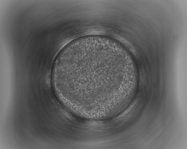 X0000111471170200908031354