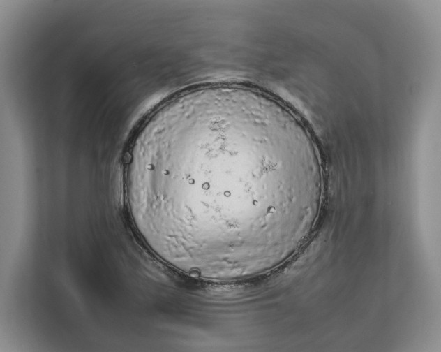 X0000111471171200908031354