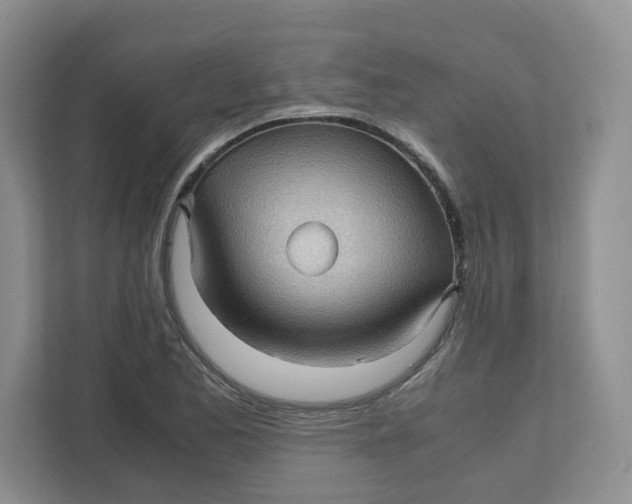 X0000111471173200908031354