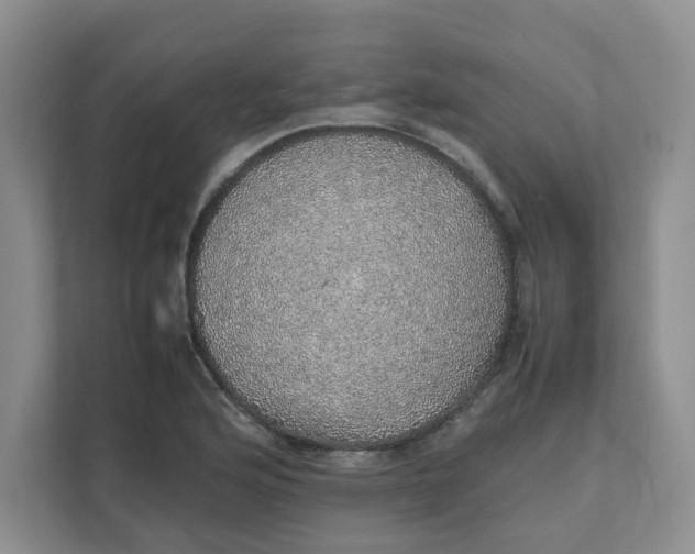 X0000111471176200908031354