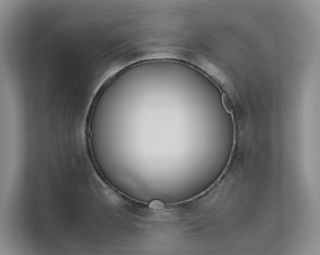 X0000111471181200908031354