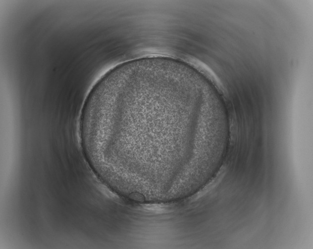 X0000111471182200908031354