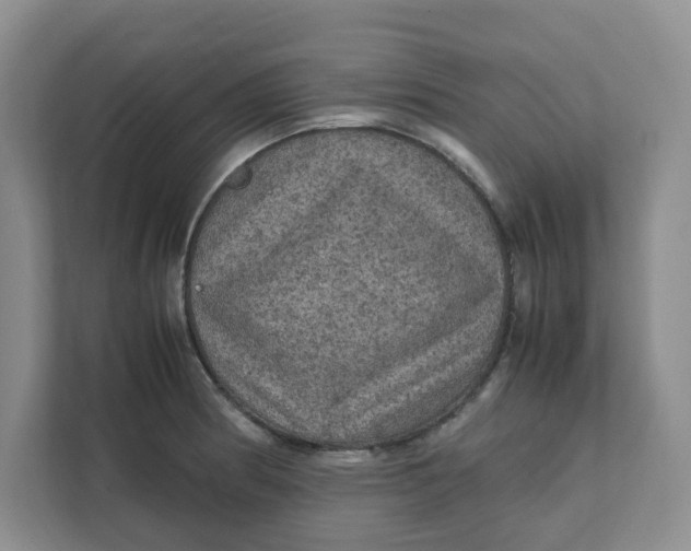 X0000111471186200908031354