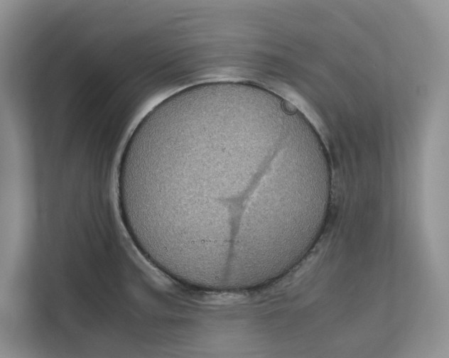 X0000111471187200908031354