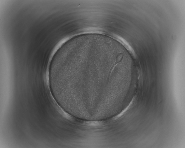 X0000111471188200908031353